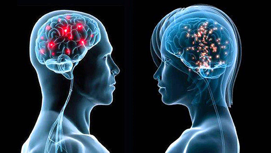 کارکرد مغز و ویژگی‌های روانی در دوره‌های مختلف سن